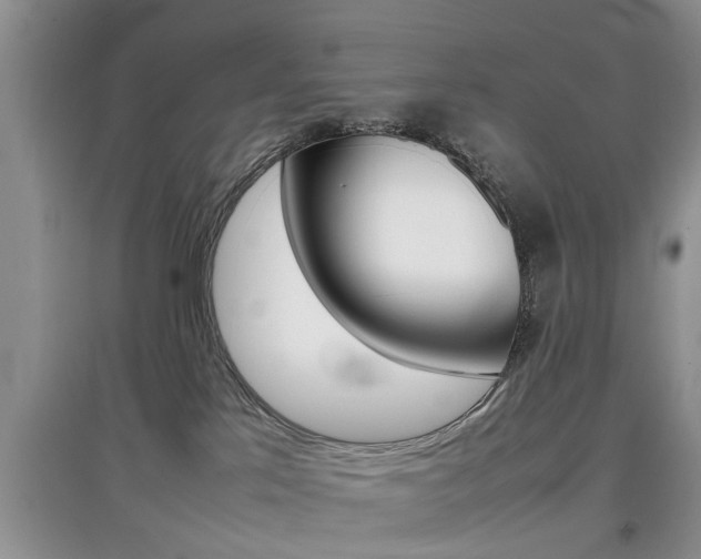 X0000097900041200803141017
