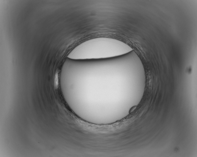 X0000097900042200803141017