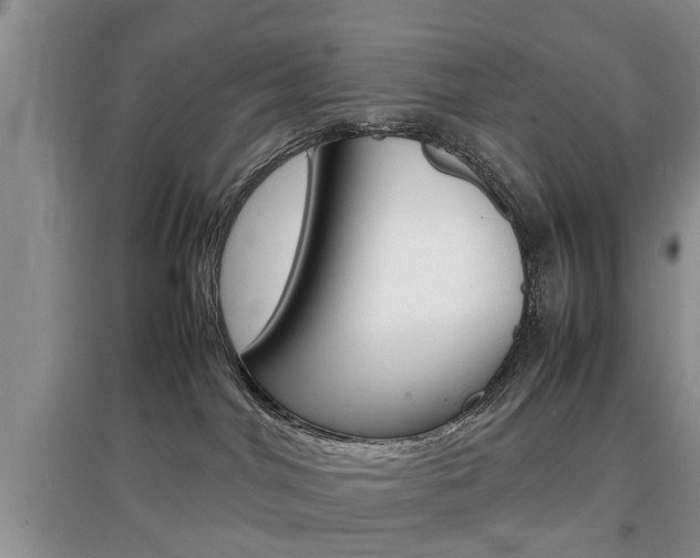 X0000097900044200803141016