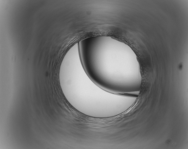 X0000097900045200803141016
