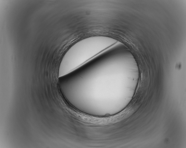 X0000097900048200803141016