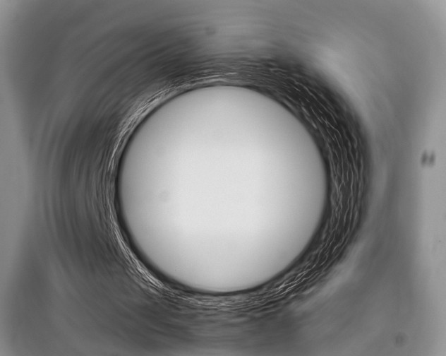 X0000097900049200803141016