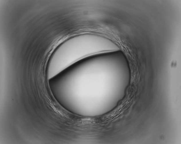 X0000097900050200803141016