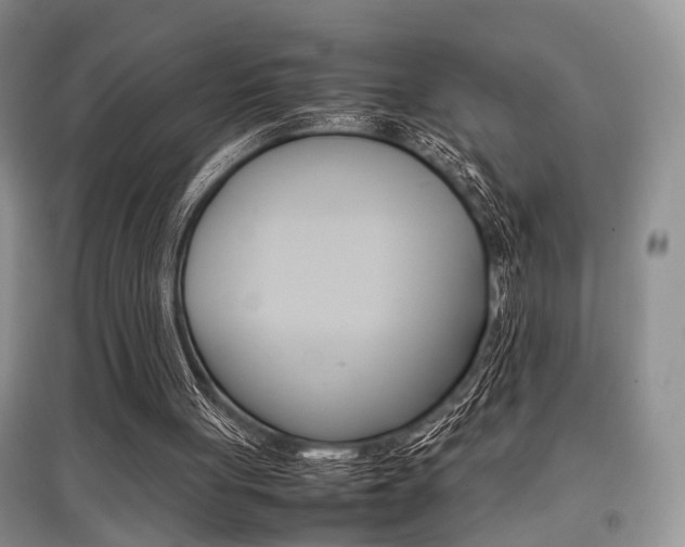 X0000097900051200803141016