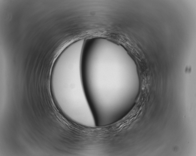 X0000097900052200803141016