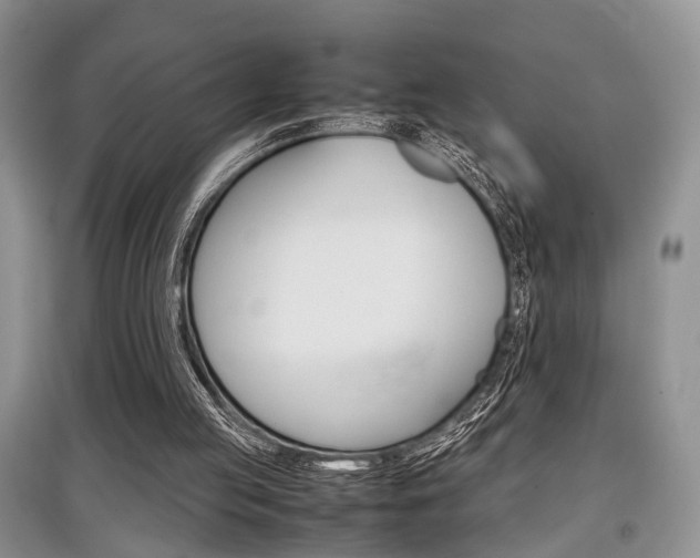 X0000097900053200803141016