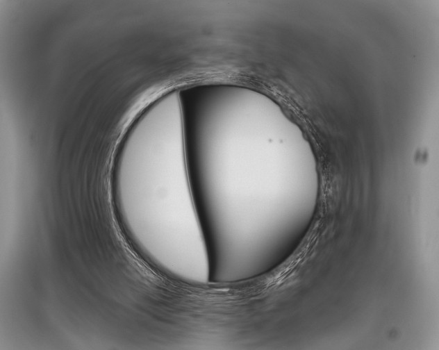 X0000097900054200803141016