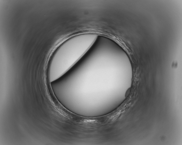 X0000097900055200803141016