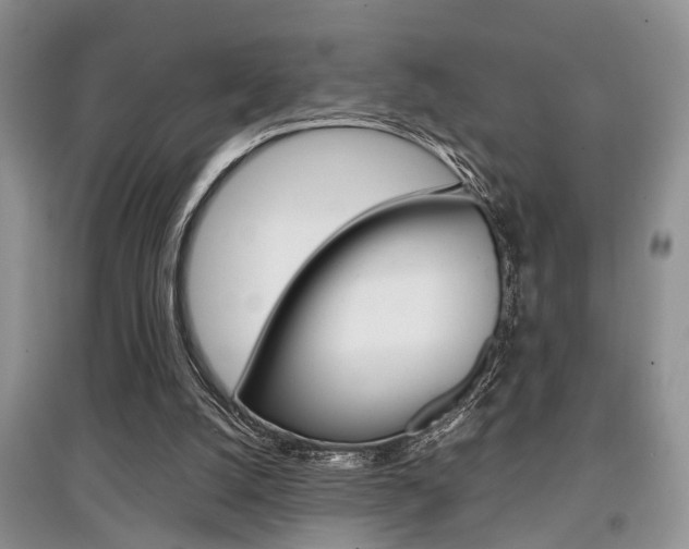 X0000097900056200803141016