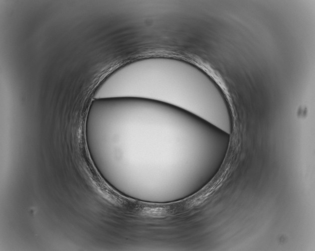 X0000097900057200803141016