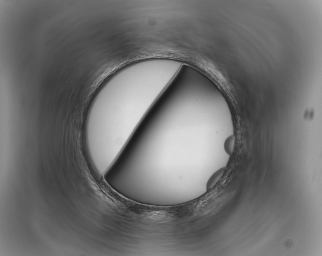 X0000097900058200803141016