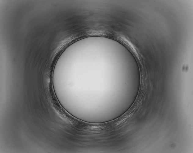 X0000097900059200803141016