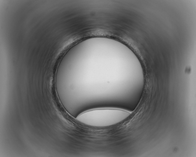 X0000097900063200803141016