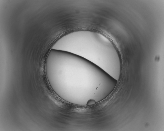 X0000097900065200803141016