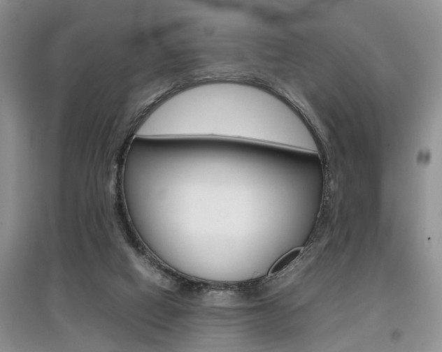 X0000097900066200803141016