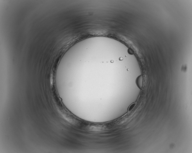 X0000097900069200803141016