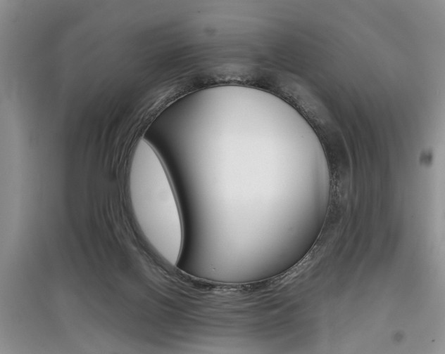X0000097900070200803141016