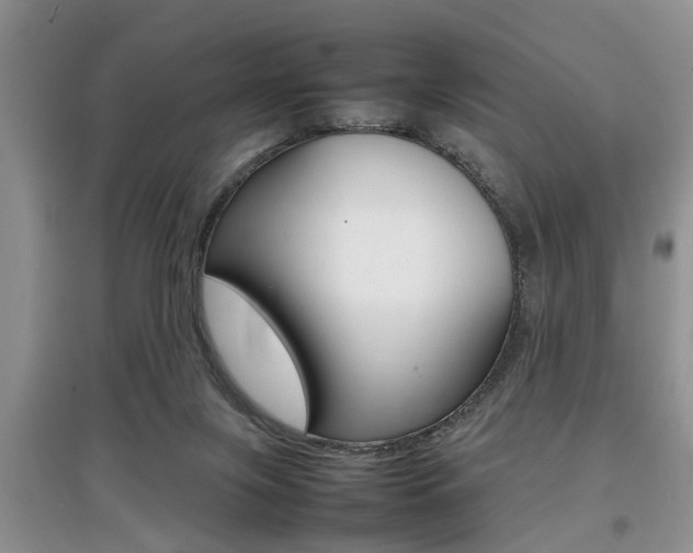 X0000097900071200803141016