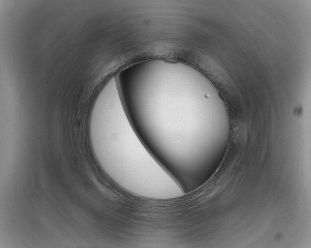 X0000097900072200803141016