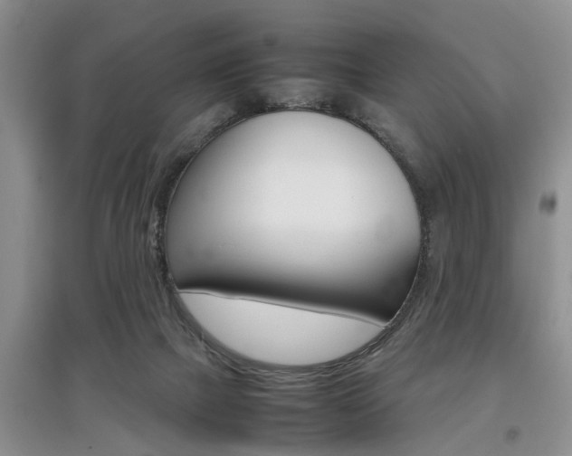 X0000097900073200803141016
