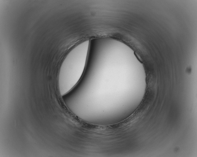 X0000097900076200803141016