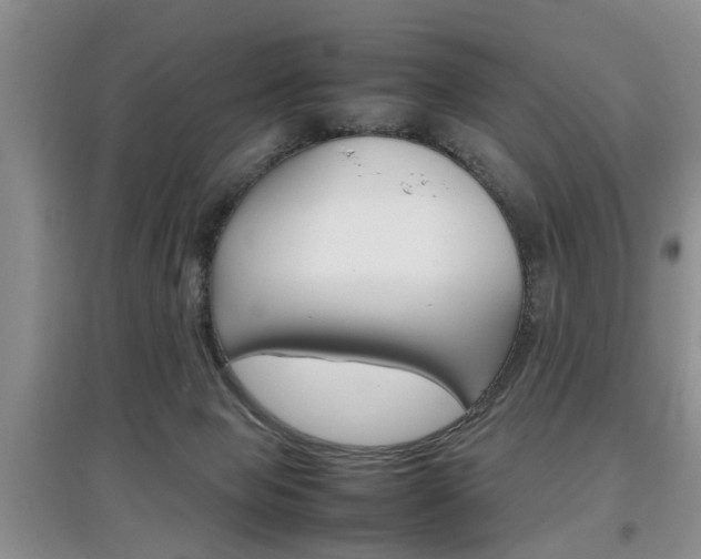 X0000097900077200803141016