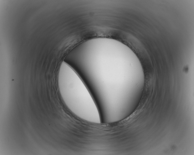 X0000097900078200803141016