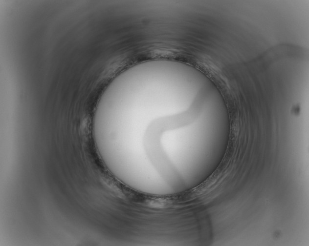 X0000097900079200803141016