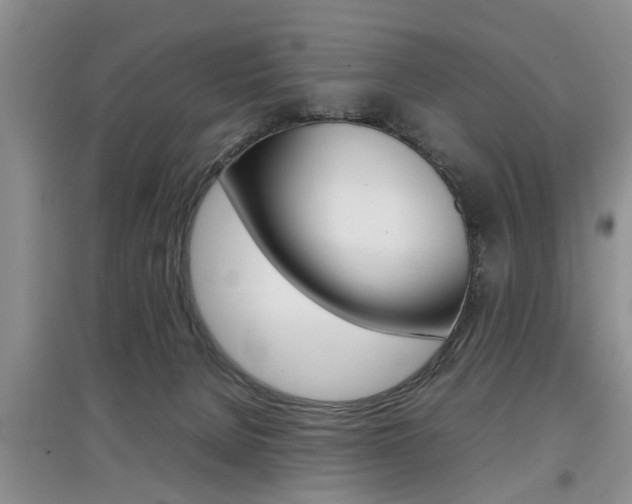 X0000097900080200803141016