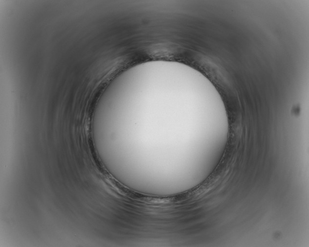 X0000097900081200803141016