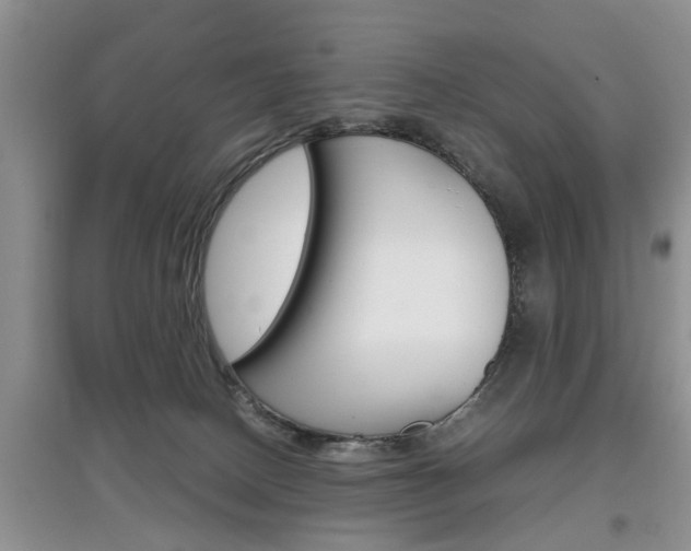 X0000097900082200803141016