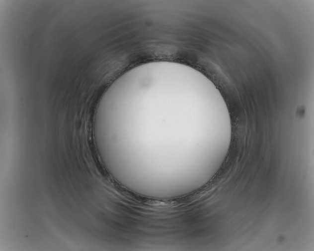 X0000097900083200803141016