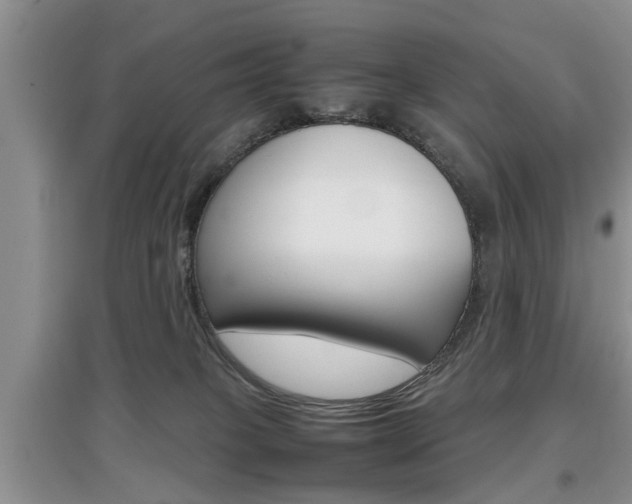 X0000097900085200803141016