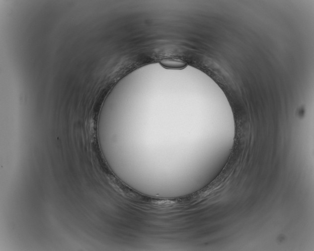 X0000097900087200803141016