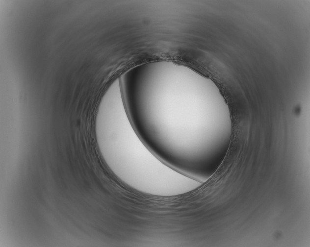 X0000097900088200803141016