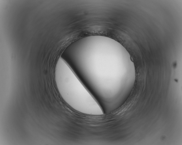 X0000097900089200803141016