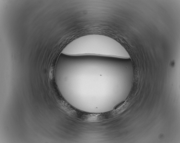 X0000097900090200803141016