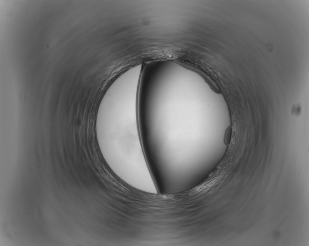 X0000097900096200803141016