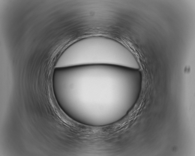 X0000097900097200803141016