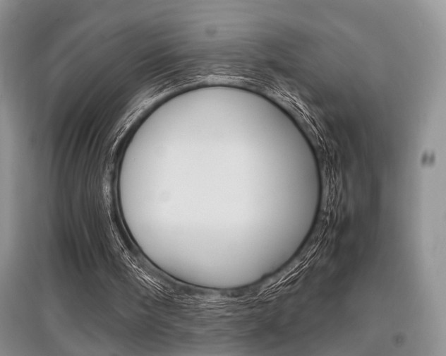 X0000097900098200803141016
