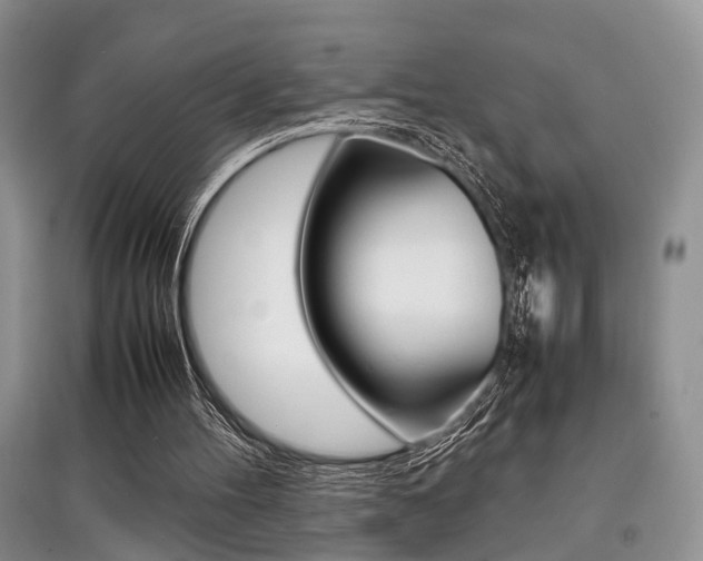 X0000097900100200803141016