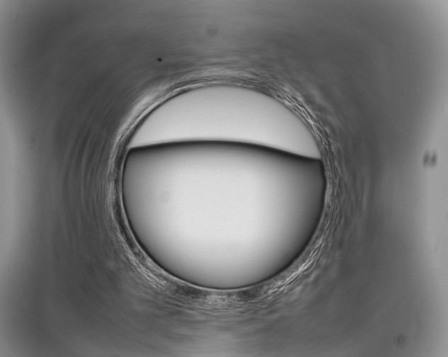 X0000097900101200803141016