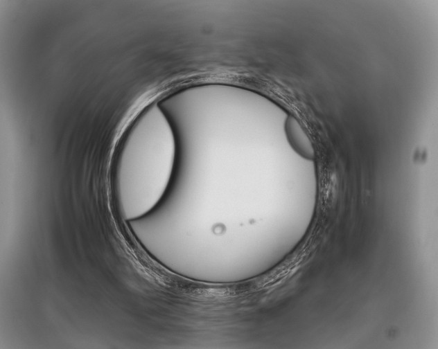 X0000097900102200803141016