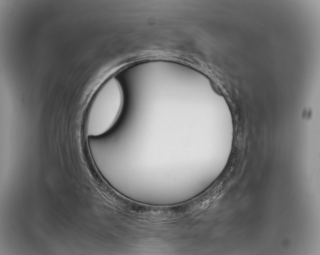 X0000097900103200803141016