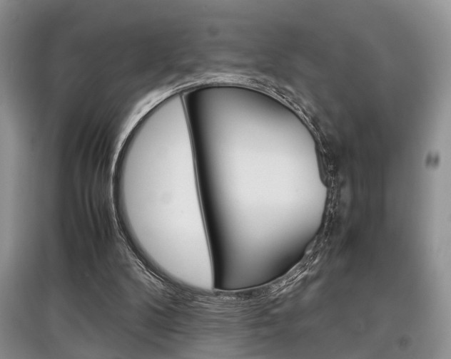 X0000097900104200803141015