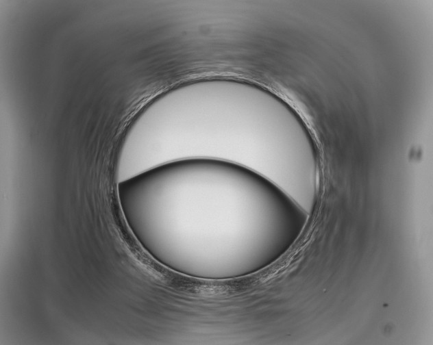 X0000097900105200803141015