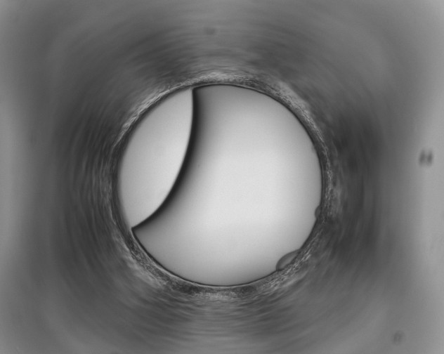 X0000097900106200803141015