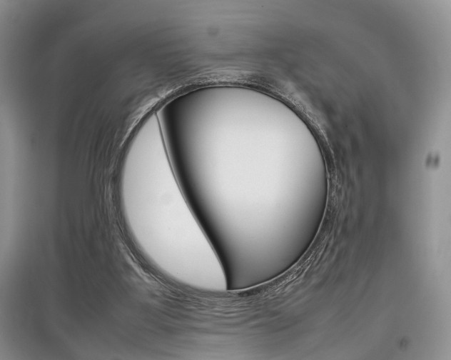 X0000097900107200803141015