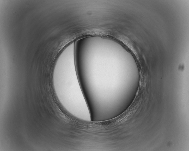 X0000097900109200803141015