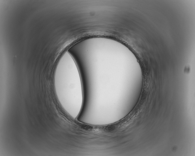 X0000097900111200803141015